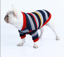 Load image into Gallery viewer, Colorful Stripe Pet Sweater Jacket
