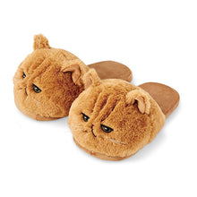 Load image into Gallery viewer, Cute Plush Cat Slippers