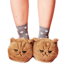 Load image into Gallery viewer, Cute Plush Cat Slippers