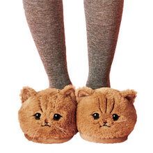 Load image into Gallery viewer, Cute Plush Cat Slippers