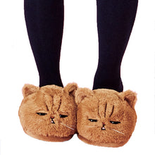 Load image into Gallery viewer, Cute Plush Cat Slippers