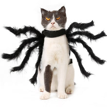 Load image into Gallery viewer, Halloween Pet Dress Up Spider