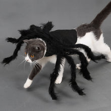 Load image into Gallery viewer, Halloween Pet Dress Up Spider