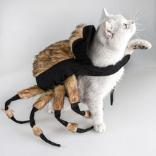 Load image into Gallery viewer, Halloween Pet Cat Tarantula Cosplay