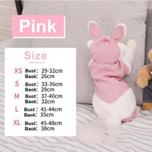 Load image into Gallery viewer, Cat Winter Clothes Sweater