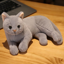 Load image into Gallery viewer, Real Prone Cat Doll Stuffed