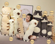 Load image into Gallery viewer, Kawaii Plush Cat Stuffed Pillow