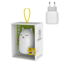 Load image into Gallery viewer, Wireless Bluetooth 2000mAh Battery Earphone