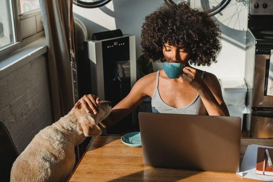 It's National Take your pet to work day! What will you do with your pet on this special day?