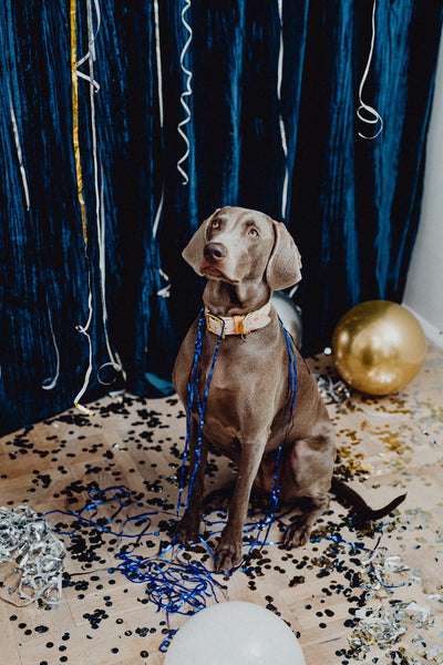 Wishing you A Happy New Year