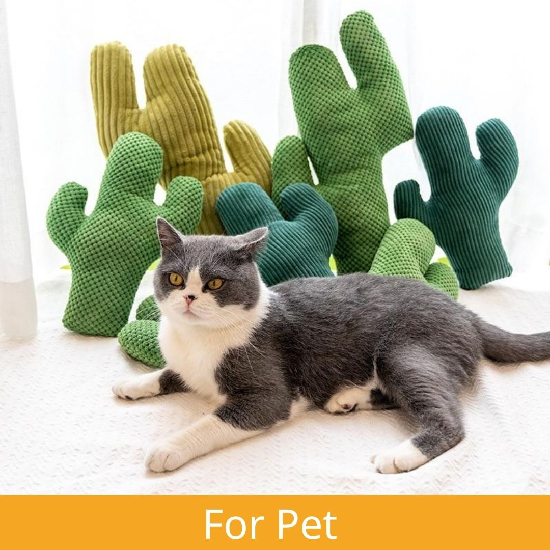 For Pet - Datewithpet