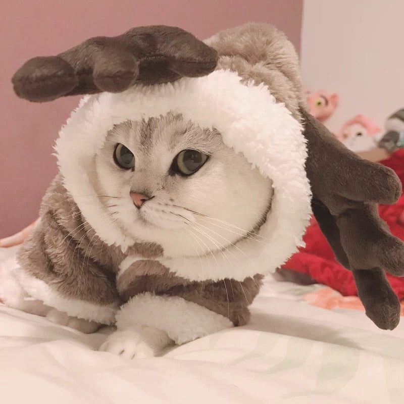Pet Winter Clothes Costume