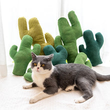 Load image into Gallery viewer, Cactus Catnip Pet Toy
