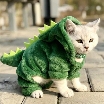 Adorable Dinosaur Pet Costume