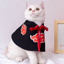Load image into Gallery viewer, Funny Cat Cloak Cosplay
