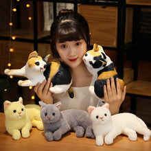 Load image into Gallery viewer, Real Prone Cat Doll Stuffed
